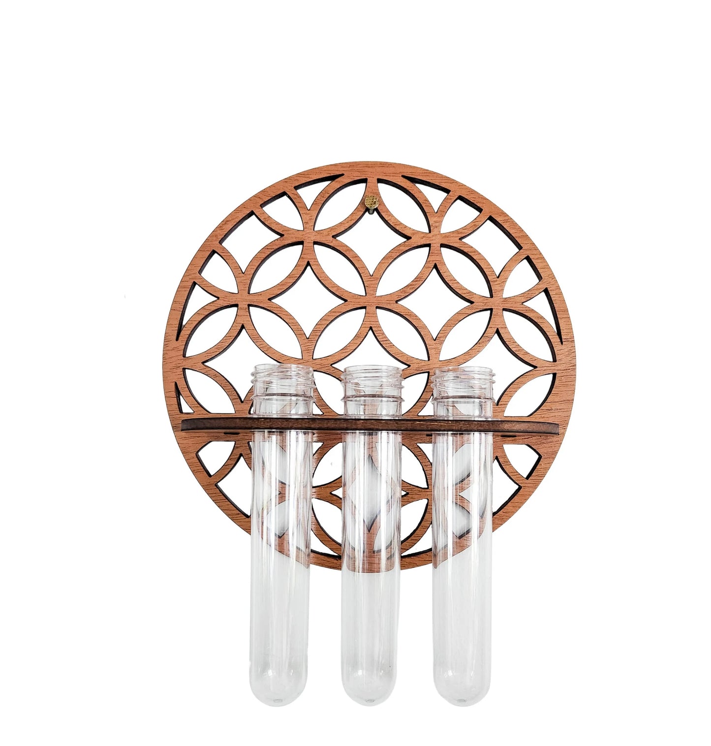 Wooden Circle Wall Planter with 3 Test Tubes — Indoor Plant Propagation Station & Hanging Vase Rack