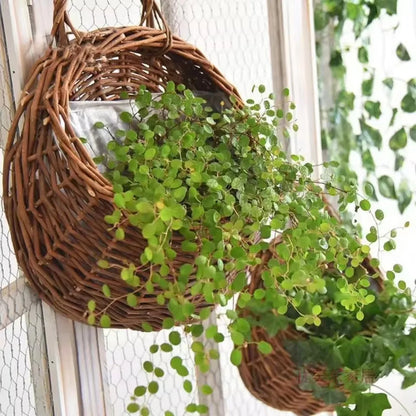 Handmade Wicker Rattan Wall Planter Basket — Natural Hanging Flower Pot for Indoor & Outdoor Garden Decor
