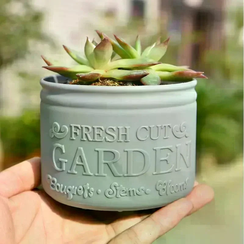 Mini Round Succulent Planter Pot — Small Plastic Flower Pot for Desktop, Balcony & Home Decor