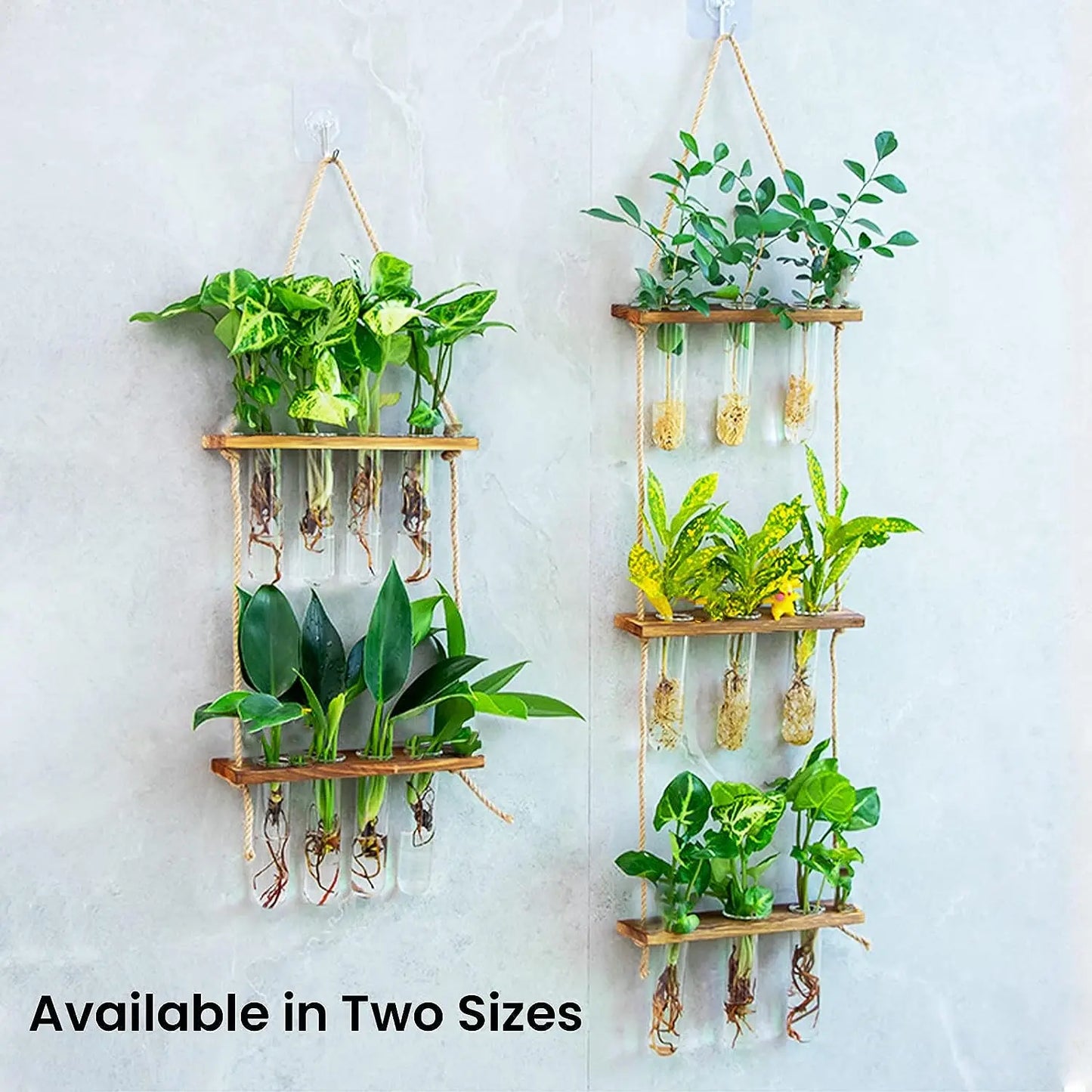 Wall Hanging Glass Test Tube Planter — 2-Layer Wooden Stand Hydroponic Vase & Plant Terrarium