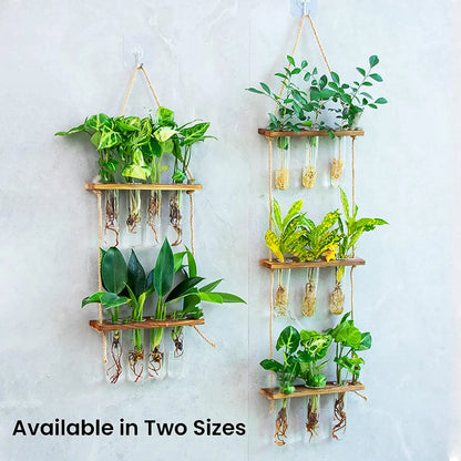 Wall Hanging Glass Test Tube Planter — 2-Layer Wooden Stand Hydroponic Vase & Plant Terrarium