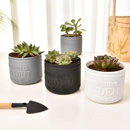 Mini Round Succulent Planter Pot — Small Plastic Flower Pot for Desktop, Balcony & Home Decor