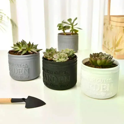 Mini Round Succulent Planter Pot — Small Plastic Flower Pot for Desktop, Balcony & Home Decor