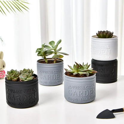 Mini Round Succulent Planter Pot — Small Plastic Flower Pot for Desktop, Balcony & Home Decor