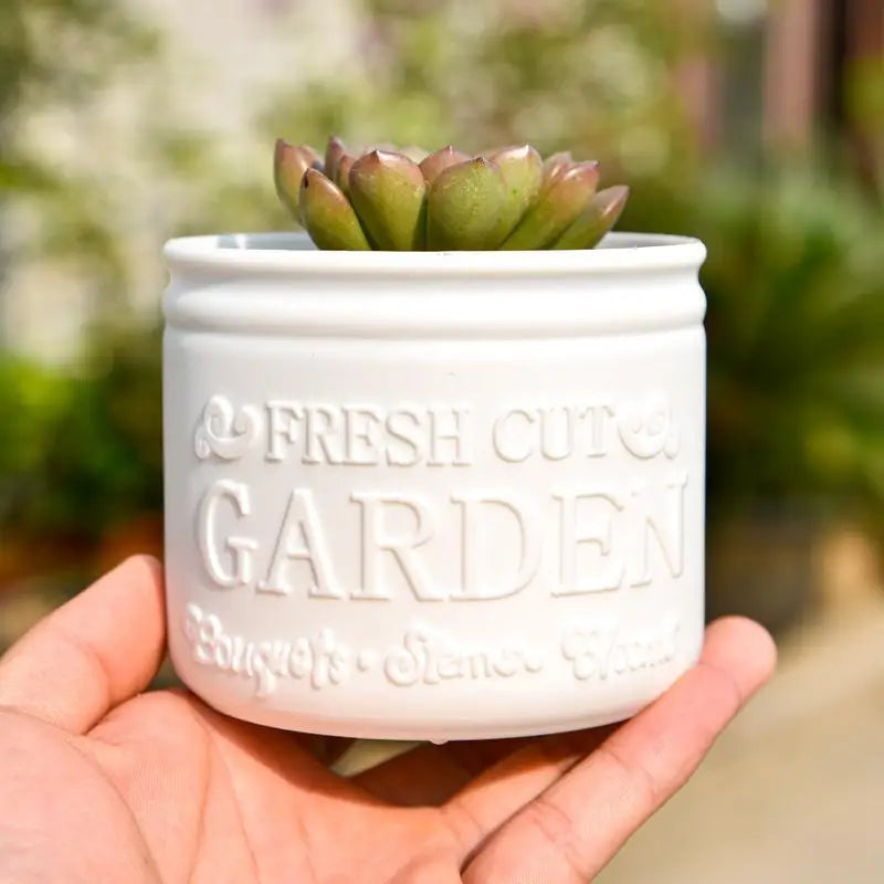 Mini Round Succulent Planter Pot — Small Plastic Flower Pot for Desktop, Balcony & Home Decor
