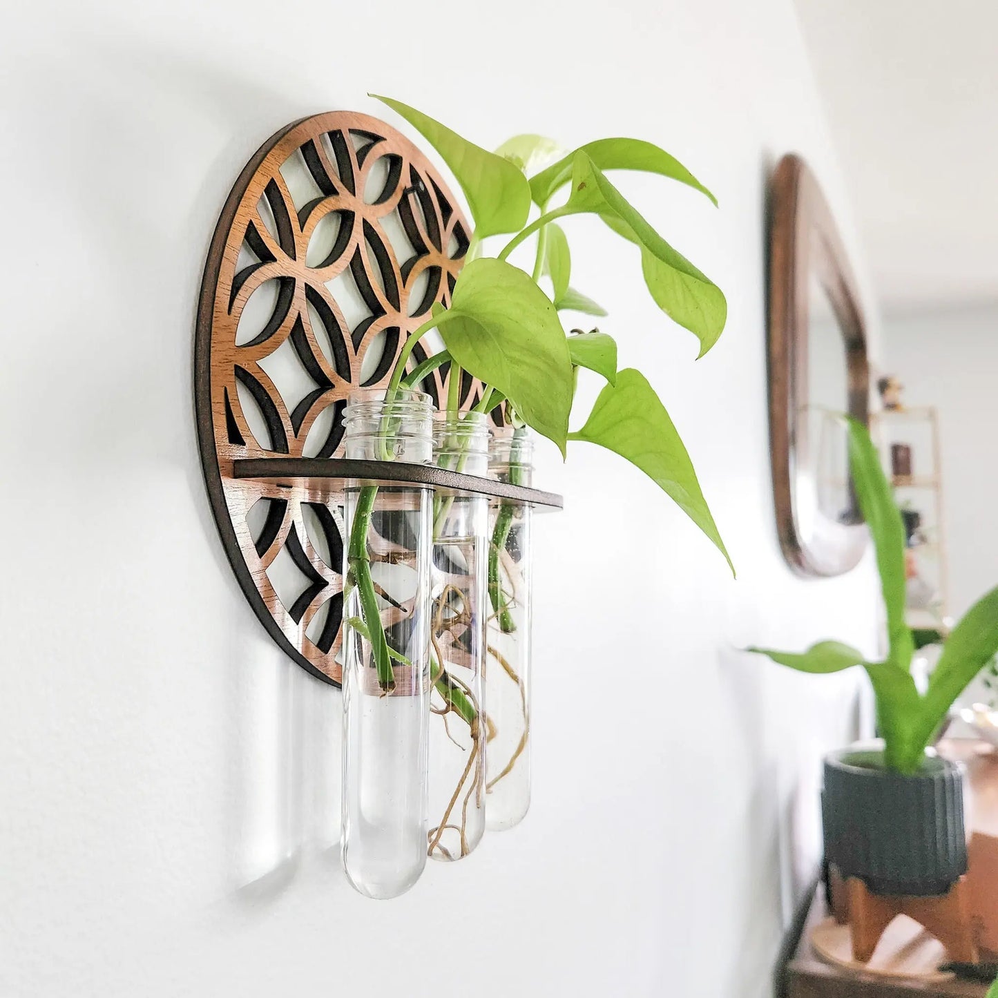 Wooden Circle Wall Planter with 3 Test Tubes — Indoor Plant Propagation Station & Hanging Vase Rack