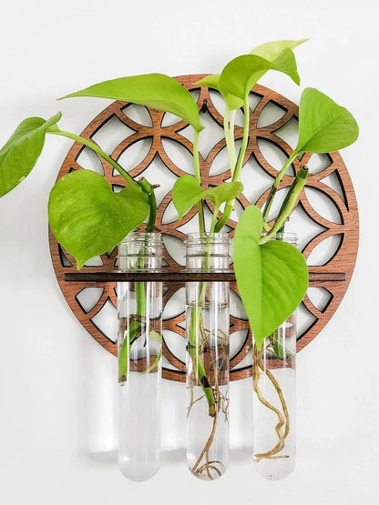 Wooden Circle Wall Planter with 3 Test Tubes — Indoor Plant Propagation Station & Hanging Vase Rack