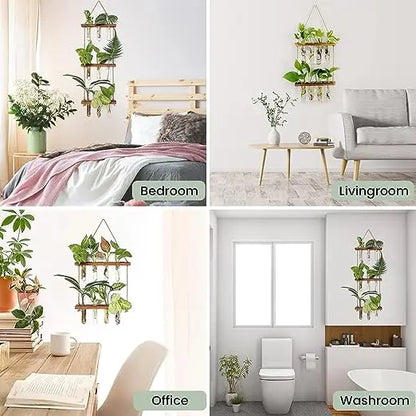 Wall Hanging Glass Test Tube Planter — 2-Layer Wooden Stand Hydroponic Vase & Plant Terrarium