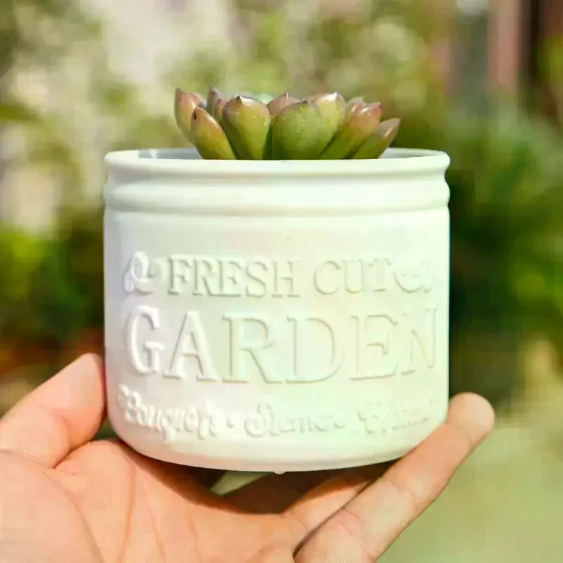 Mini Round Succulent Planter Pot — Small Plastic Flower Pot for Desktop, Balcony & Home Decor