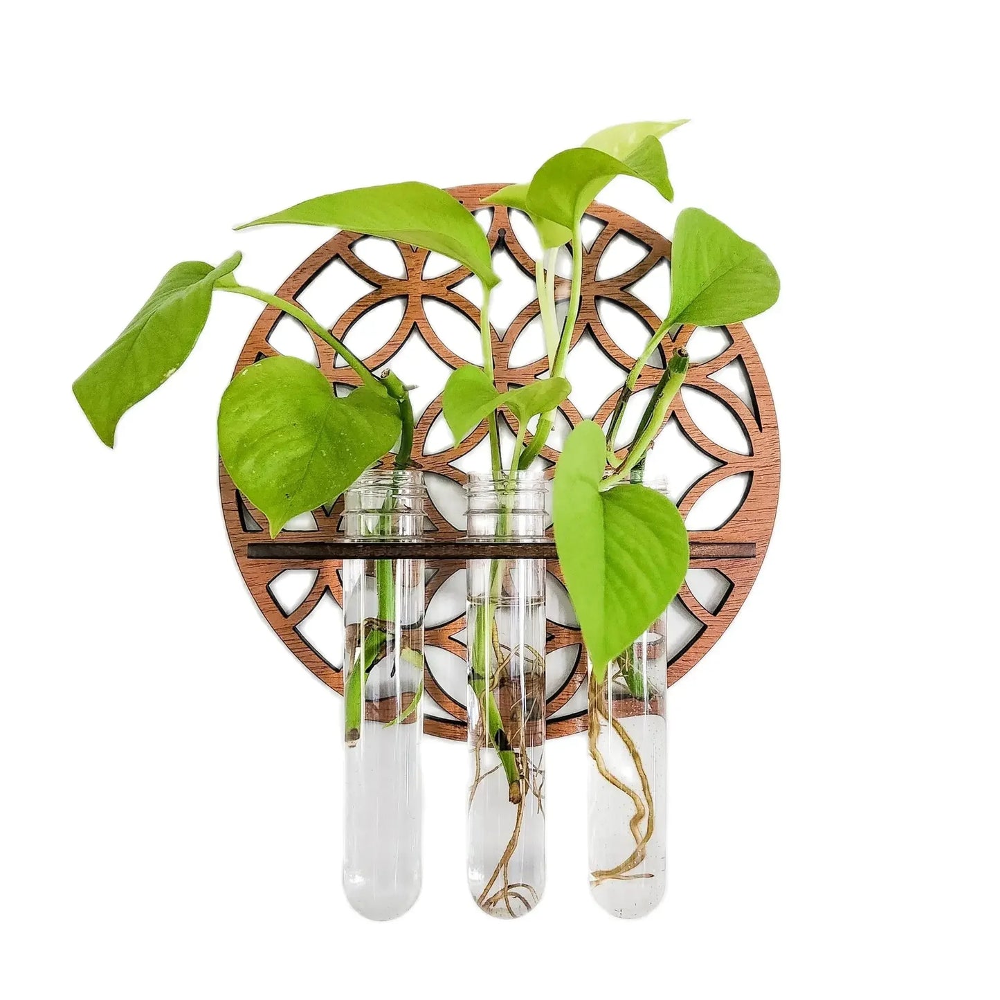 Wooden Circle Wall Planter with 3 Test Tubes — Indoor Plant Propagation Station & Hanging Vase Rack