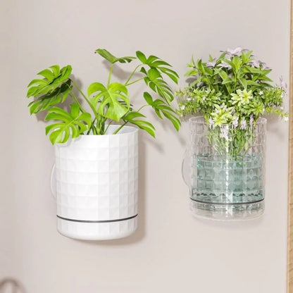 Self-Adhesive Wall Planter — Double Layer Hydroponic Hanging Flower Pot for Indoor Walls