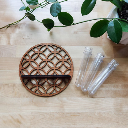 Wooden Circle Wall Planter with 3 Test Tubes — Indoor Plant Propagation Station & Hanging Vase Rack
