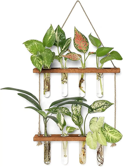 Wall Hanging Glass Test Tube Planter — 2-Layer Wooden Stand Hydroponic Vase & Plant Terrarium