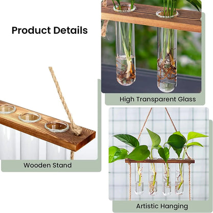 Wall Hanging Glass Test Tube Planter — 2-Layer Wooden Stand Hydroponic Vase & Plant Terrarium