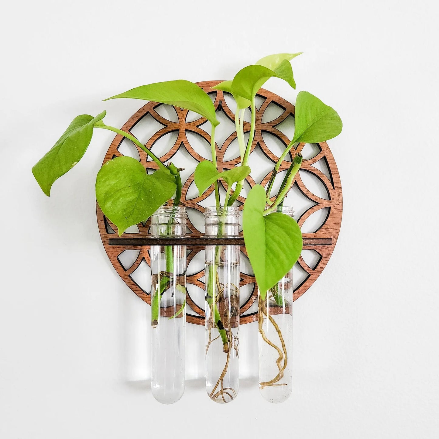 Wooden Circle Wall Planter with 3 Test Tubes — Indoor Plant Propagation Station & Hanging Vase Rack