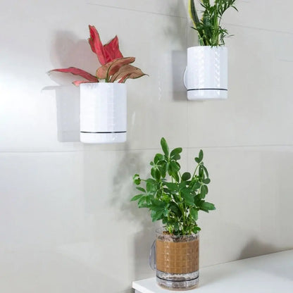 Self-Adhesive Wall Planter — Double Layer Hydroponic Hanging Flower Pot for Indoor Walls